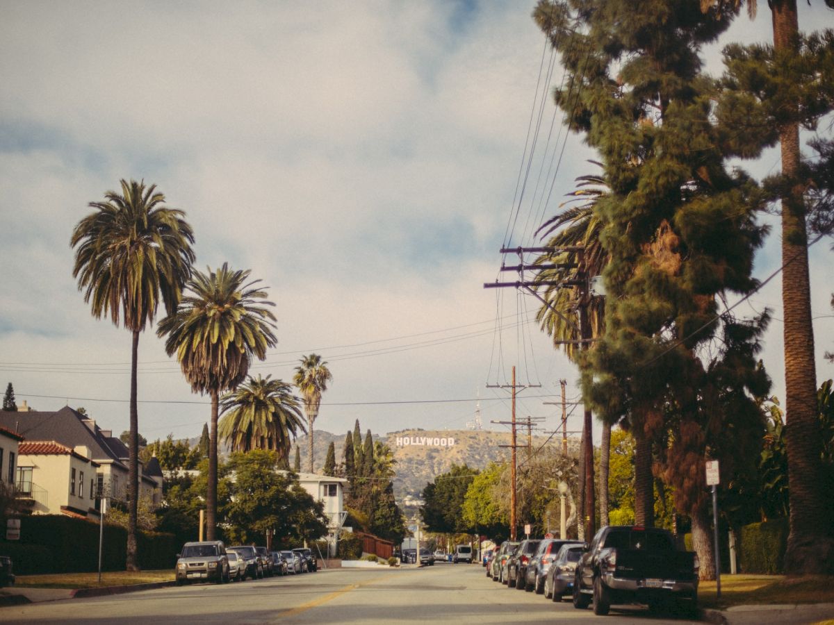 A street lined with palm trees and parked cars, with the Hollywood sign visible in the background on a clear day.