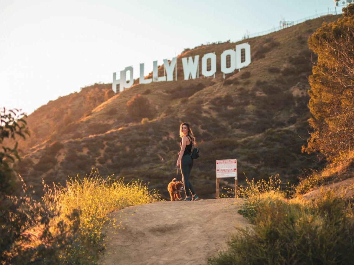 A person stands on a dirt path in front of the iconic Hollywood sign on a sunny day, with greenery and blue sky in the background.