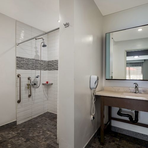 A modern bathroom with a toilet, a walk-in shower with grab bars, and a vanity with a large mirror. The design is minimalistic and accessible.